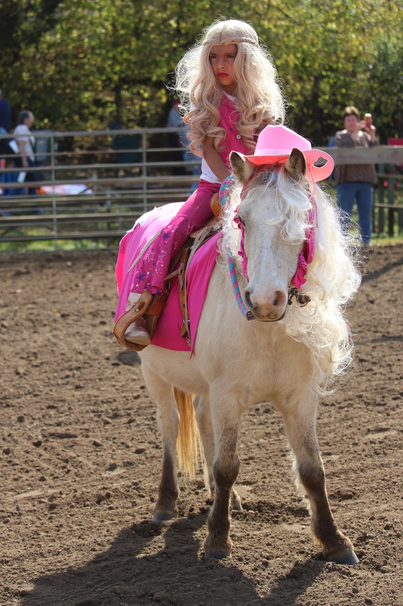 Saddle Up Barbie