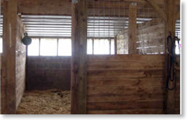 Single horse stall